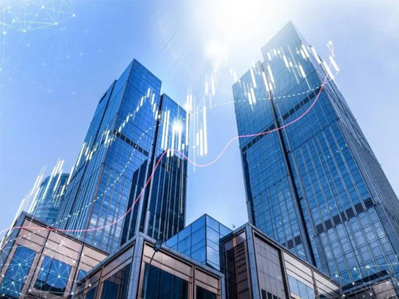 Company Office Environment/Investment Research Team